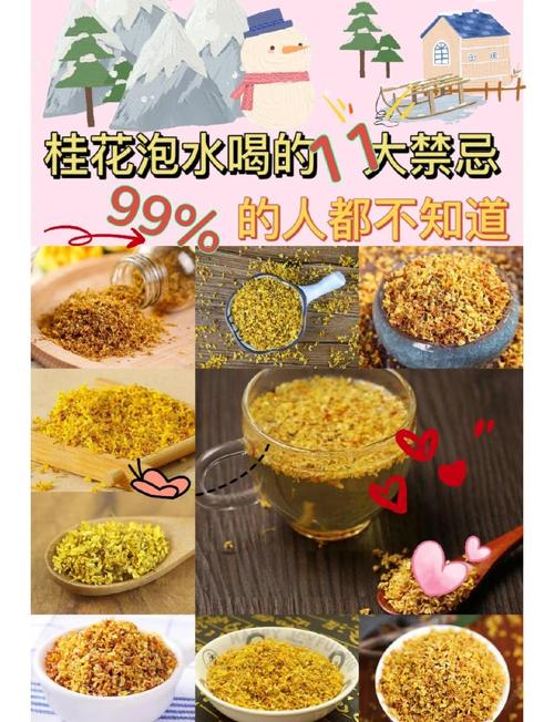 西湖边:桂花香如何消解拥挤