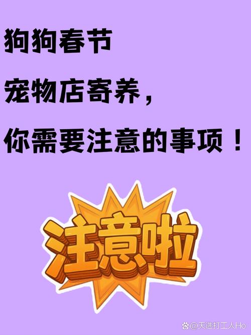 送寄养前，一定要做这三件事