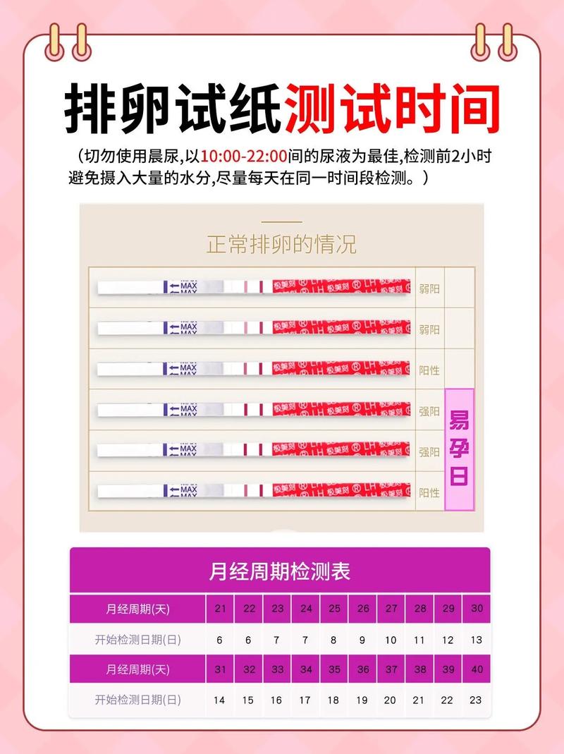 女性排卵期试纸监测方法示意图
