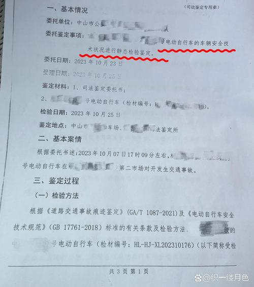 自动驾驶交通事故算法鉴定报告打印页