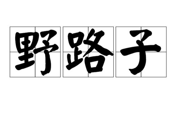 技术出身，还是野路子？