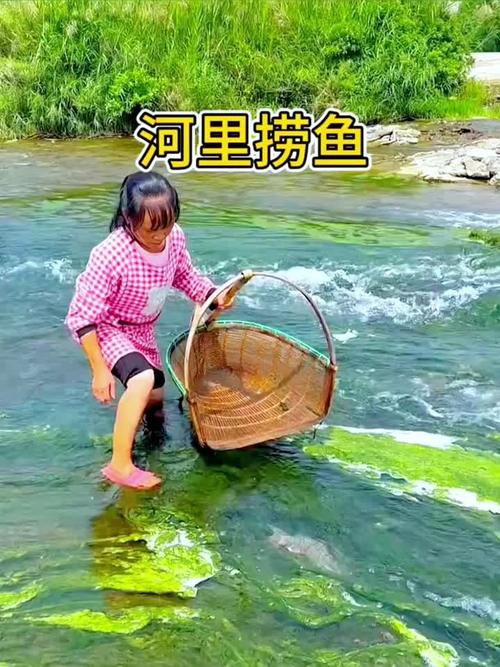 湖北南漳鱼泉河春季涌鱼泉眼捞鱼实景