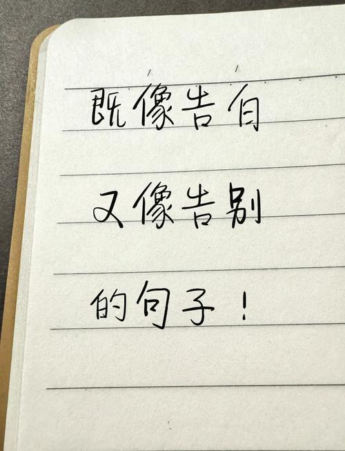 最后想对小白说几句