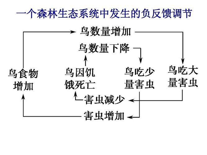 湖泊生态系统负反馈调节示意图