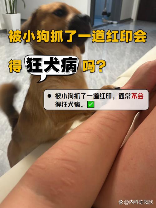 牵引绳勒到狗狗颈部造成的红印真实记录