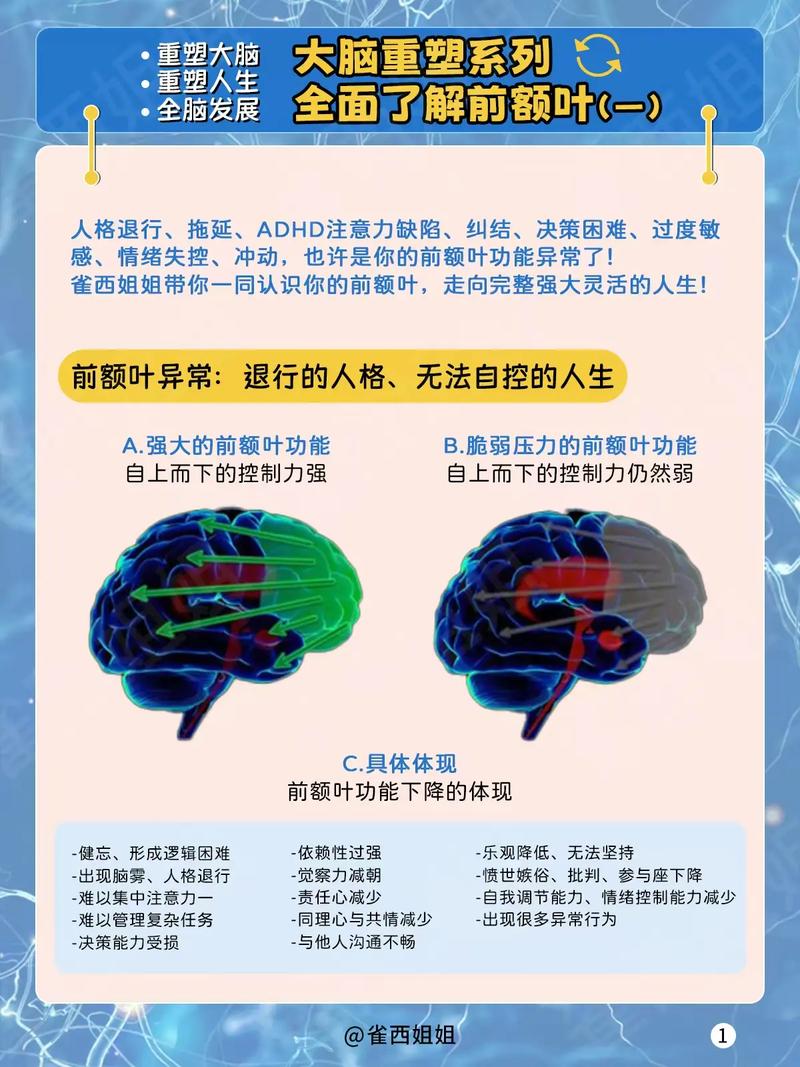 碎片化信息正在重塑你的大脑结构