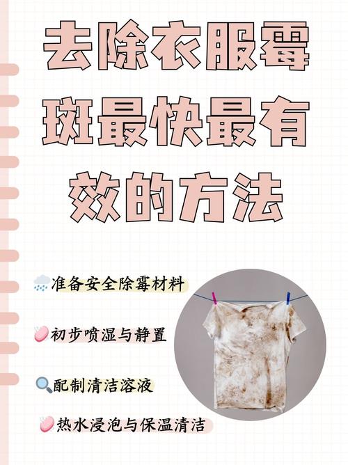 霉斑教会我的事