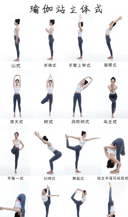 瑜伽基础练习山式站立正确发力示意