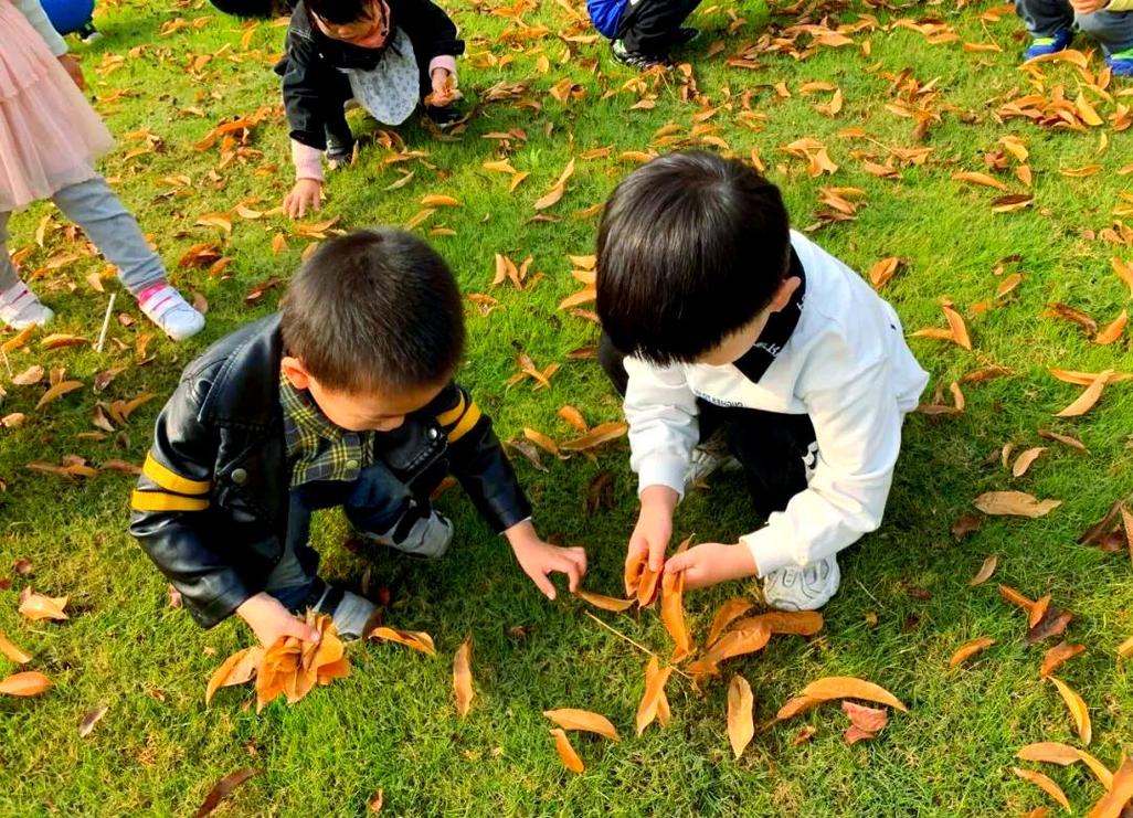 亲子户外捡落叶做意象游戏