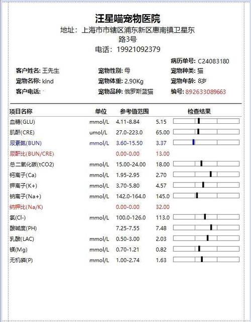 宠物医院猫传腹生化检查报告单