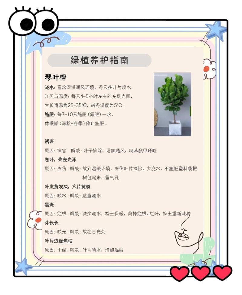 养护那些事儿:别让绿植变“一次性”