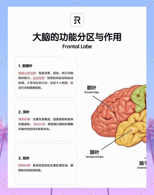 方法三：用“归纳和演绎”给大脑分类