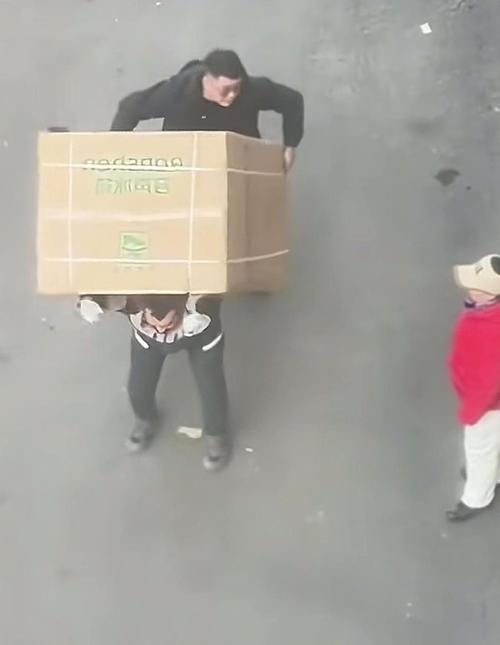 运输条件?真不是快递小哥扛上楼那么简单