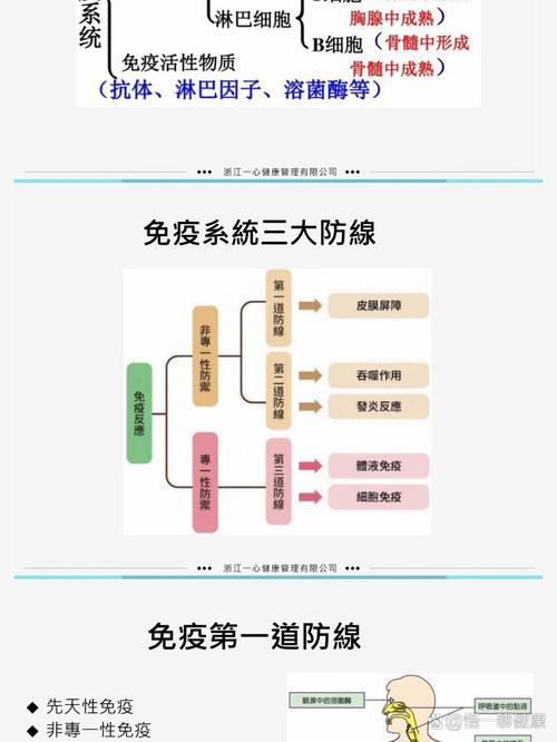 二、免疫调节:三大防线千万别记串了
