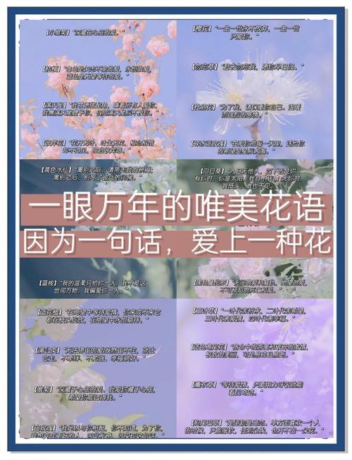 关于花语和搭配,其实没那么玄乎