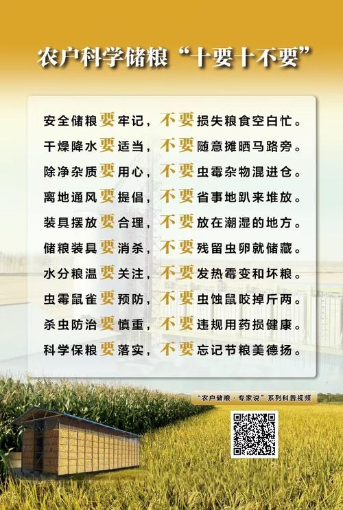 存杂粮避不开的几个坑，千万别踩