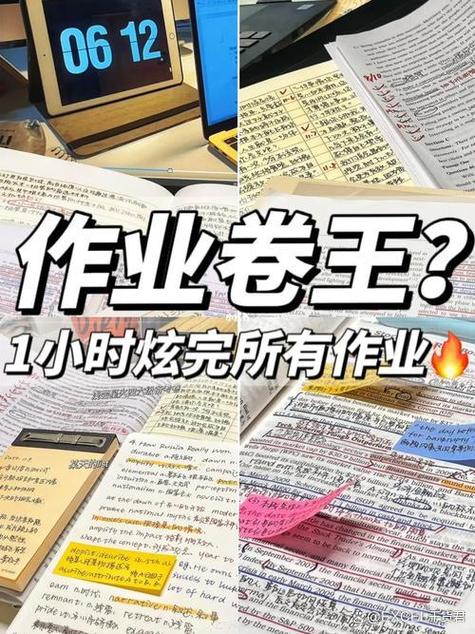 🛠 小白实战：直接抄作业