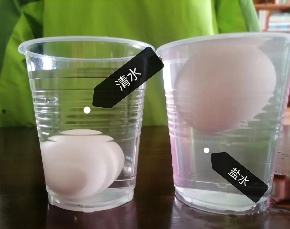 厨房科学小实验盐水浮鸡蛋探究