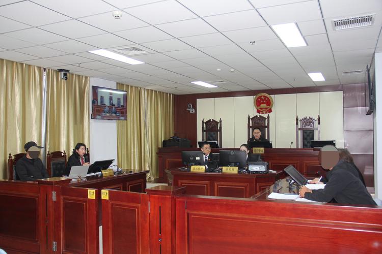 法院庭审担保合同代签纠纷现场