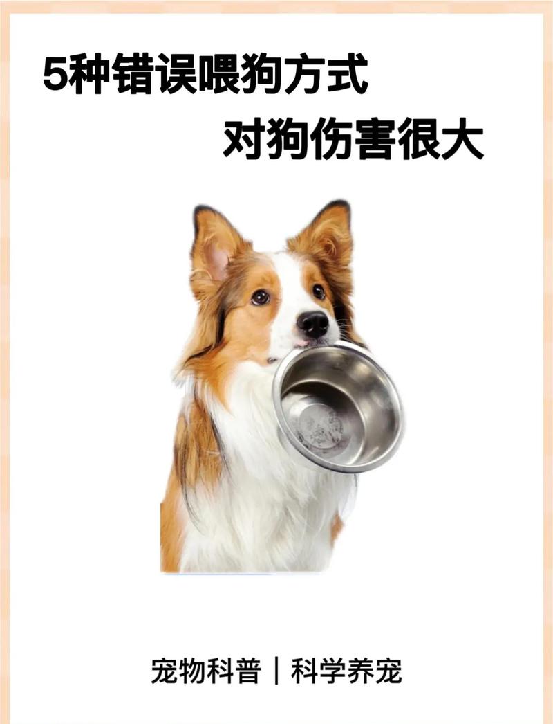 错误训狗端走狗食盆演示图