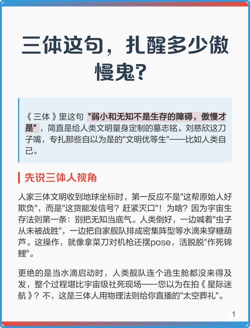人类的傲慢,写在每一道防波堤上