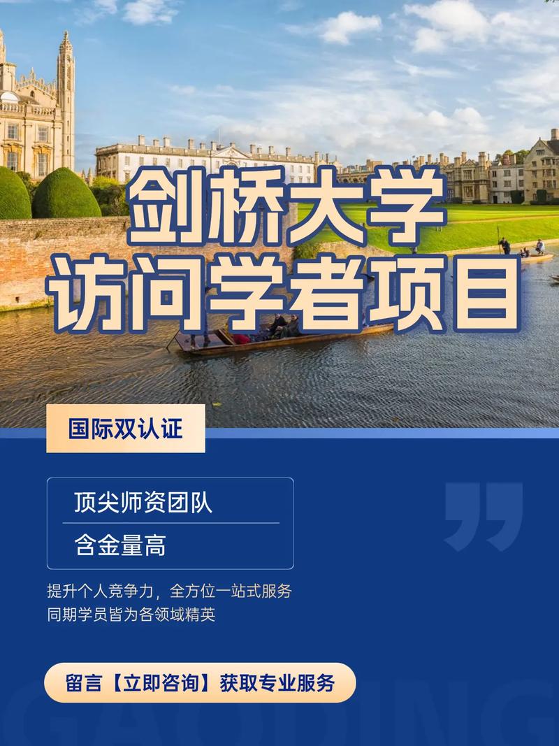 访问学者,已经不单是大学的事