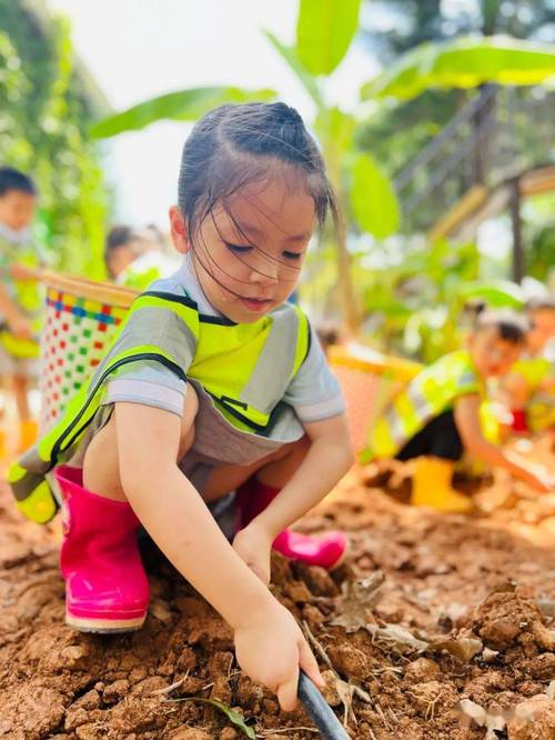 一岁宝宝在户外草地玩泥土 有机养育