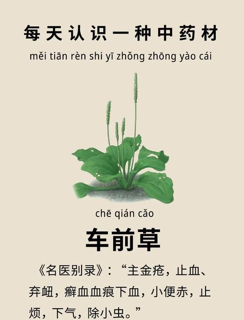 🌿 收尾与验收：别在终点前翻车