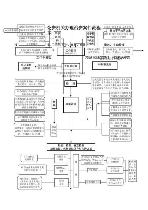 公安机关治安管理处罚法案件受理流程图