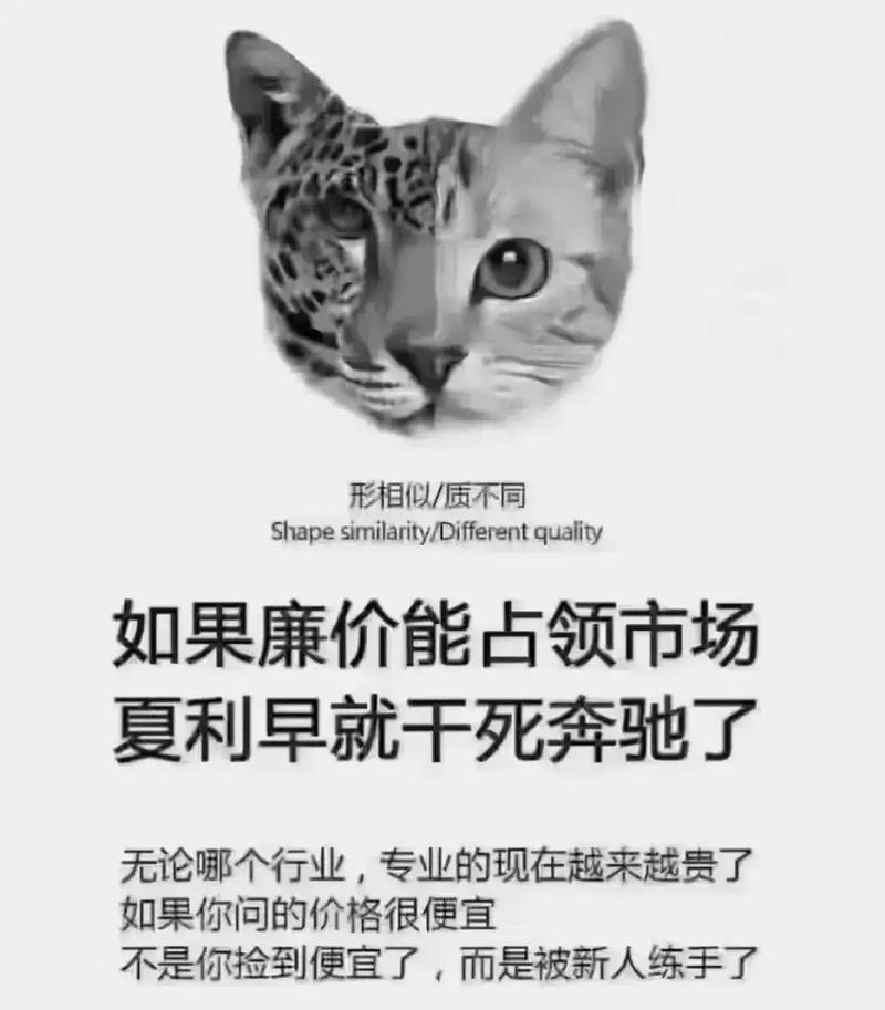 售后才是藏在价格背后的隐形价值