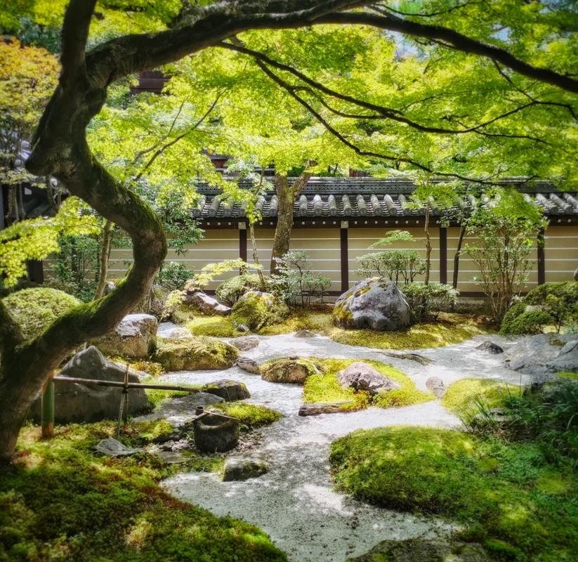 日本京都寺院内木质茅草茶亭禅意景观