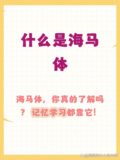 藏在身体里的记忆，比任何知识点都管用