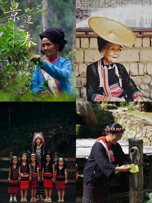 云南普洱：咖啡与茶，以及未被驯化的少数民族村落