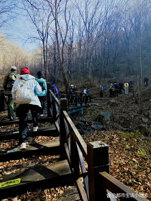 出城十分钟钻山野，本地人周末都这么玩