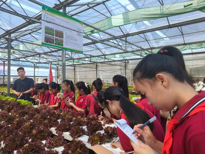带队导师在研学旅途中给孩子们现场讲解植物知识