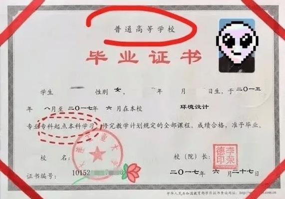 撕碎学历证书的手特写