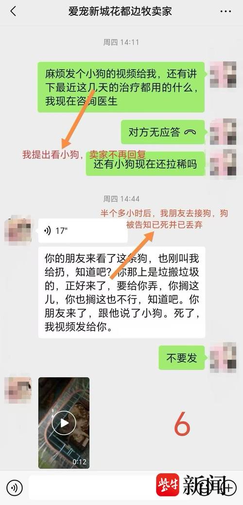 宠物致害责任纠纷当事人微信聊天记录截图
