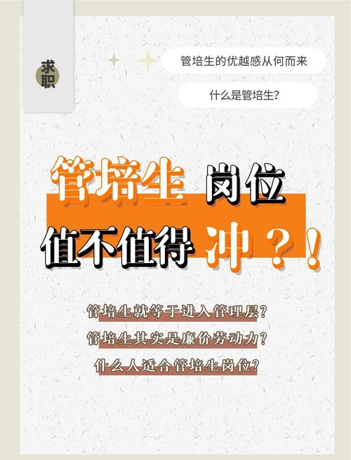 管培生项目，到底值不值得冲？