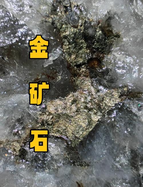 金矿石标本高品位与低品位对比