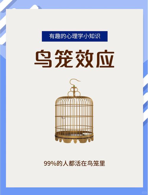 那些跳出惯性的新方向，才是真的有戏