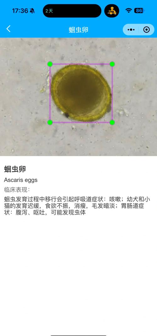 宠物鲜食生肉寄生虫检测样本