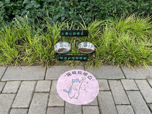 宠物友好型工业园区:为什么越来越多工厂开始做这步设计-超级宝贝