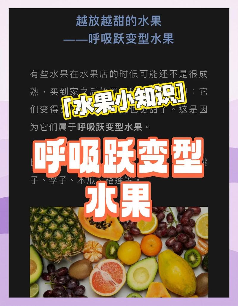 常见鲜果呼吸类型分类整理表