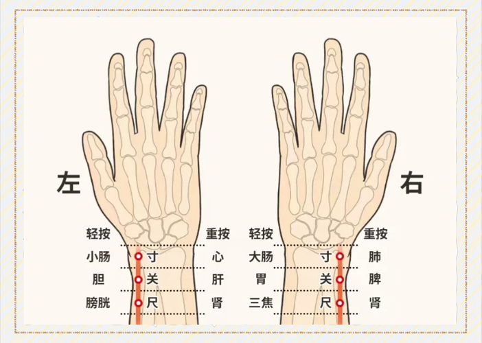分寸到底在哪?记住这几个“安全线”