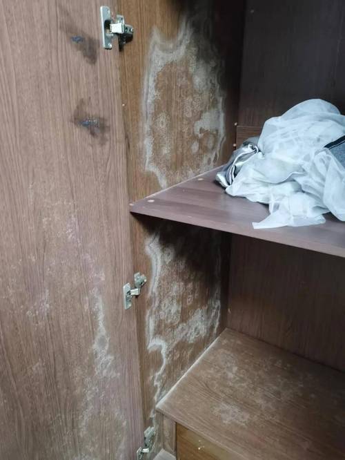 劣质饰面板装修后发霉起泡柜体实拍图