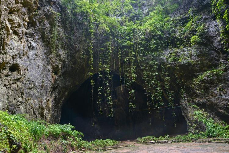 湖北南漳十姑洞洞口苍松景观
