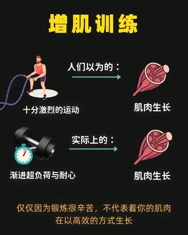 增肌渐进超负荷杠铃加重示意图