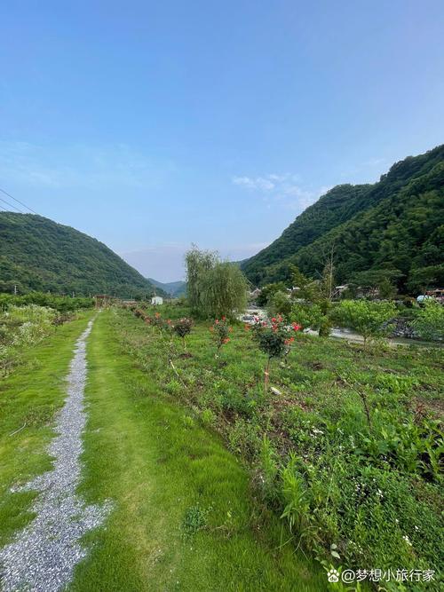 池州三条岭古驿道松针落石阶