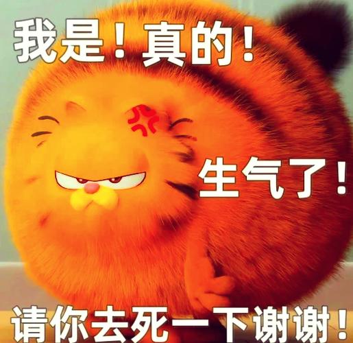 加菲猫进航空箱后炸毛哈气实拍