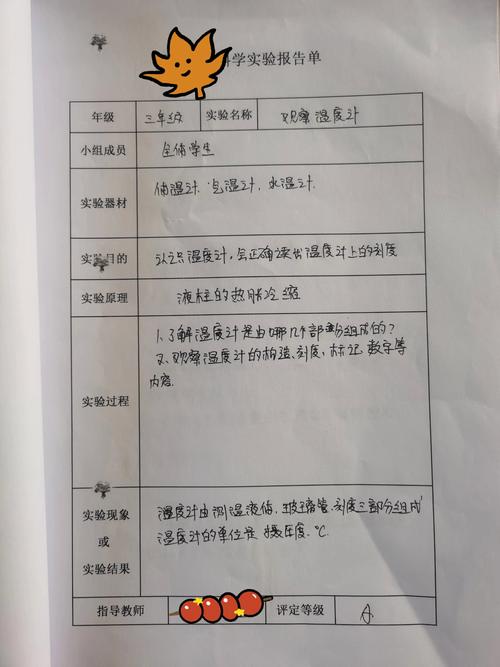 科研项目现场观察记录表模板手绘草稿